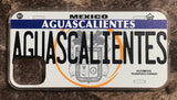 Aguascalientes 3D ‘05 cases