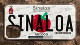 Sinaloa 3D ‘06 cases