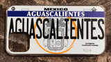 Aguascalientes 3D ‘05 cases