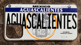 Aguascalientes 3D ‘05 cases