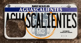 Aguascalientes 3D ‘05 cases