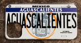 Aguascalientes 3D ‘05 cases