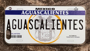 Aguascalientes 3D ‘05 cases