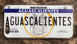 Aguascalientes 3D ‘05 cases