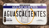 Aguascalientes 3D ‘05 cases