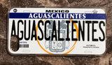 Aguascalientes 3D ‘05 cases