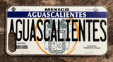 Aguascalientes 3D ‘05 cases