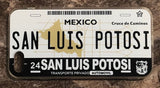 San Luis Potosi 3D ‘01 cases