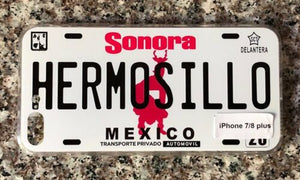 Hermosillo 3D cases