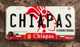 Chiapas 3D ‘09 cases