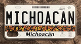 Michoacan 3D ‘07 cases