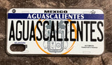 Aguascalientes 3D ‘05 cases