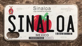 Sinaloa 3D ‘06 cases