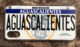 Aguascalientes 3D ‘05 cases