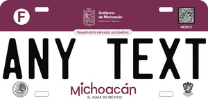 Custom Michoacan '22 cases/license plates