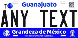 Custom Guanajuato '20 cases/license plates