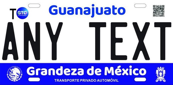 Custom Guanajuato '20 cases/license plates