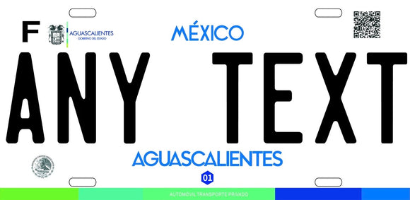 Custom Aguascalientes '17 cases/license plates